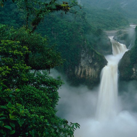 Refugium der Artenvielfalt: Wasserfall im Regenwald von Ecuador. © Kevin Schafer, WWF